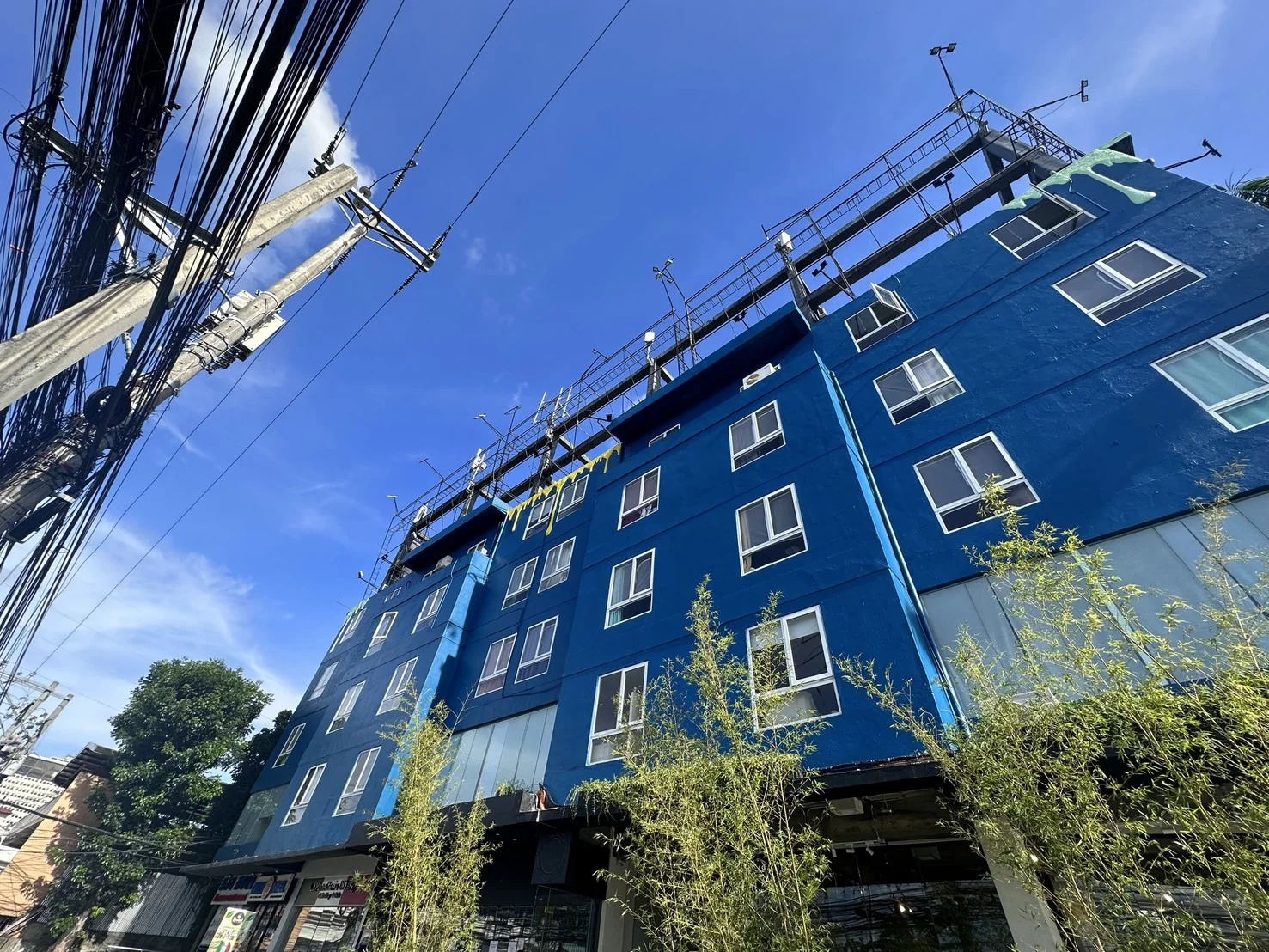 CELLA Premium 校区 校区