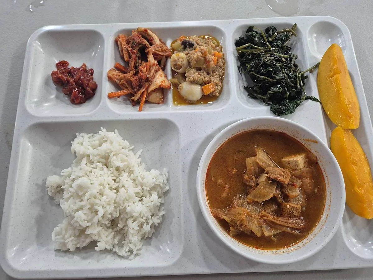 PIA 午餐餐盘 — PIA 伊洛伊洛菲律宾英语游学